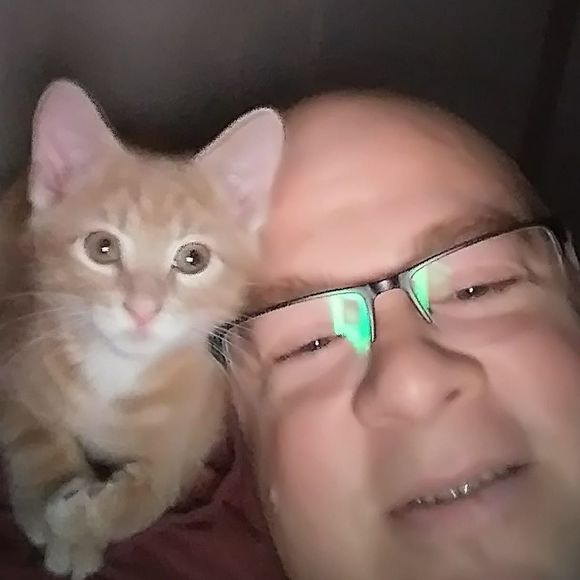 Meet your Posher, Shannon - Picture 1 of 1